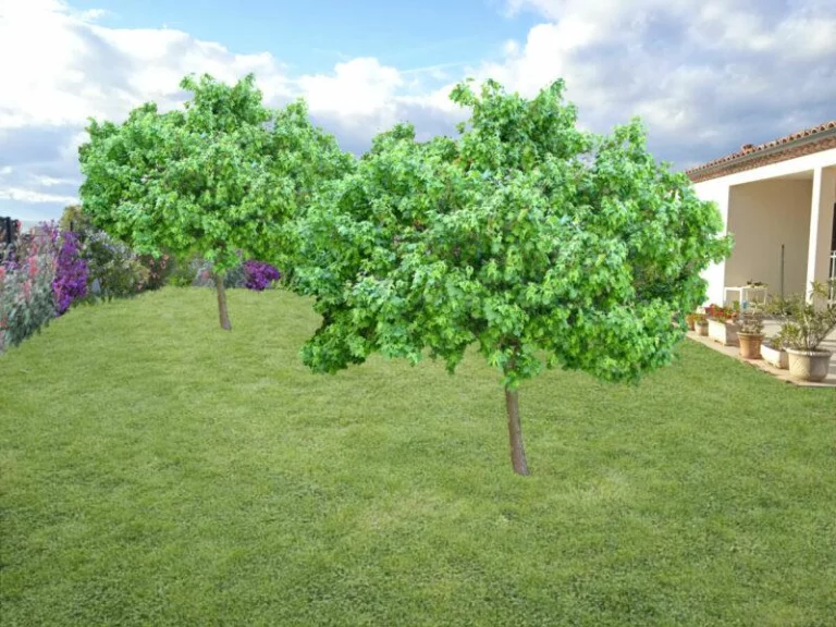 Photo-montage du projet avec arbre, façade sud