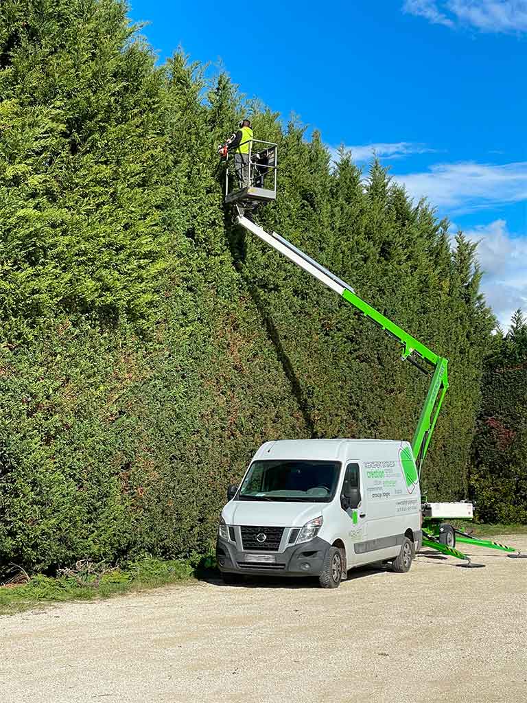 noalhyt paysage entretien et taille de haie