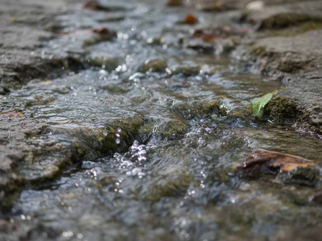 noalhyt paysage gestion de l'eau