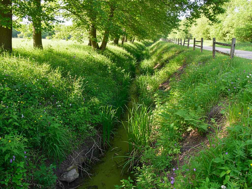 noalhyt paysage gestion de l'eau
